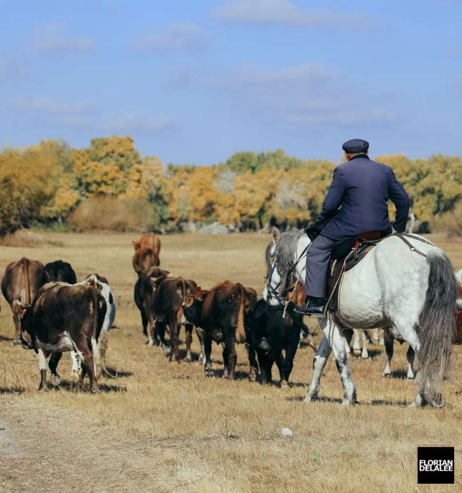 Top Xinjiang Destinations